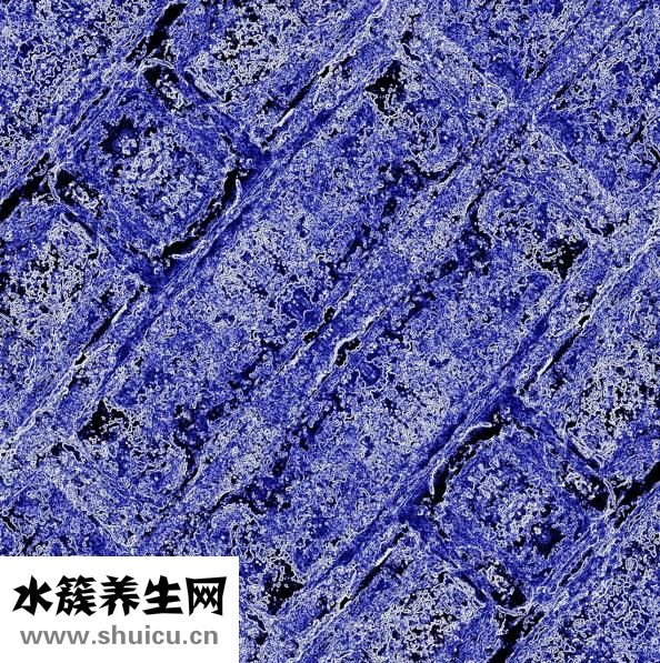 怎么知道角質層厚