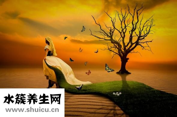 夢見甜瓜是怎么