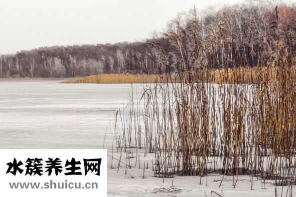 簡單小陀螺怎么折