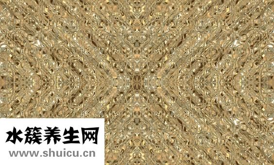 怎么辨別保健品真假