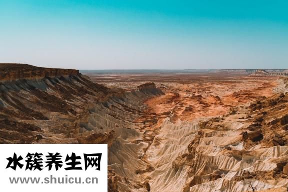 子宮內(nèi)膜癌怎么確診