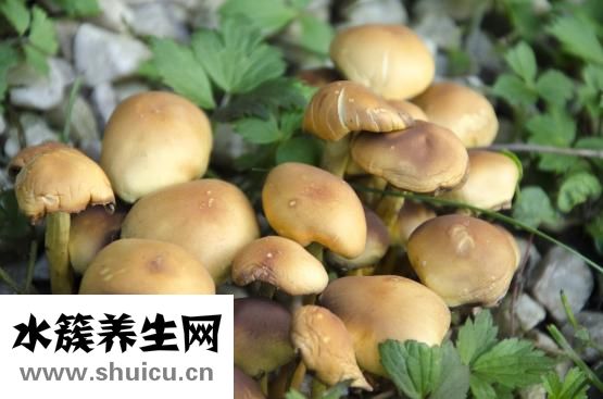 脖子長癬了怎么辦