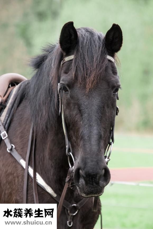 馬伊俐的胸怎么回事