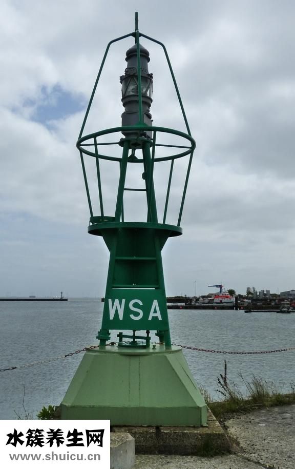 魚缸起沫沫怎么回事