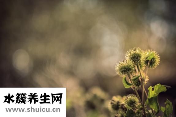 精神上缺鈣怎么辦