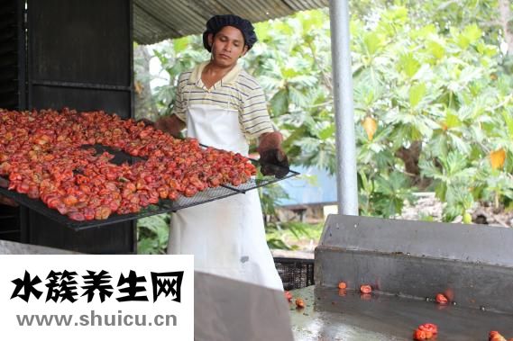 對煙過敏怎么辦