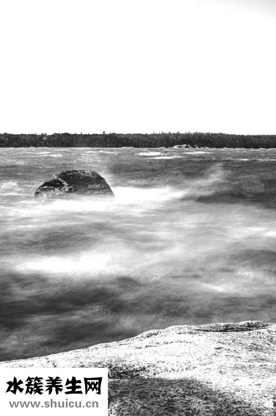 烤好的蛋撻怎么保存