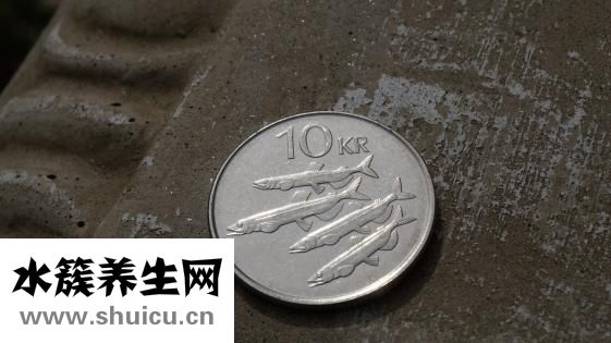 麻麻的怎么翻譯