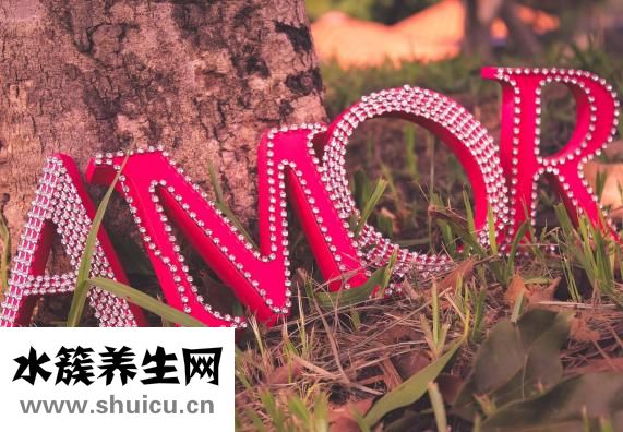 怎么看鼻梁高低