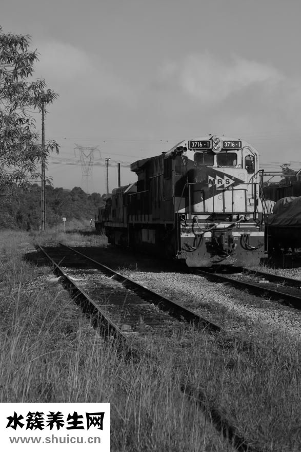 肌肉僵化了怎么恢復(fù)