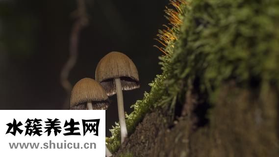 結(jié)腸出血怎么辦