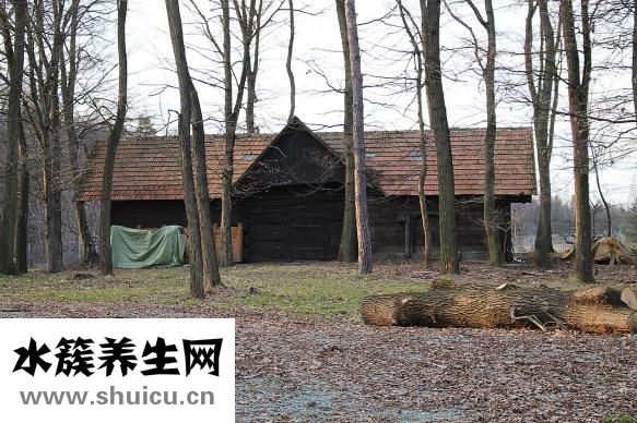 麻麻的怎么翻譯