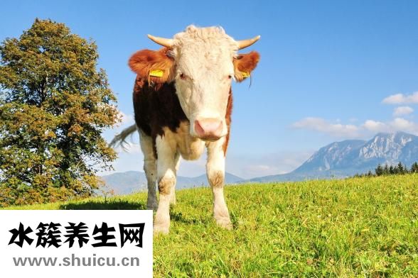 韓語大哥怎么說