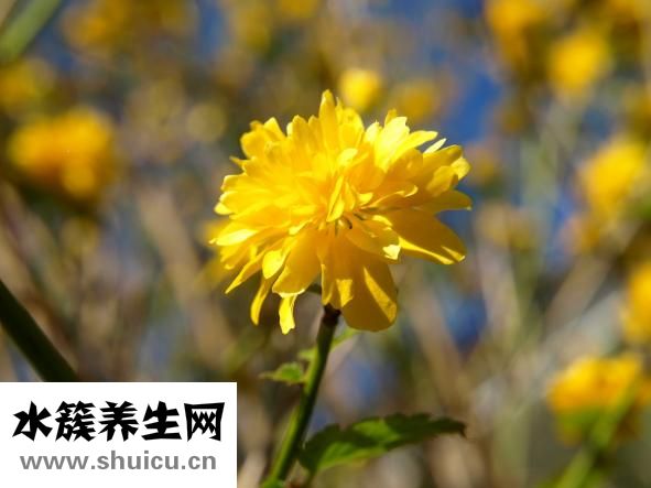 白帶是咸的怎么回事