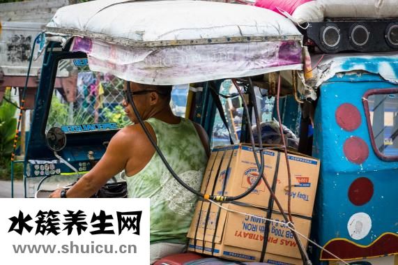 植物壓力室怎么用