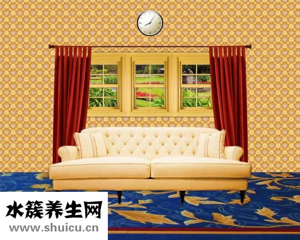 被火藥燒脫皮怎么辦