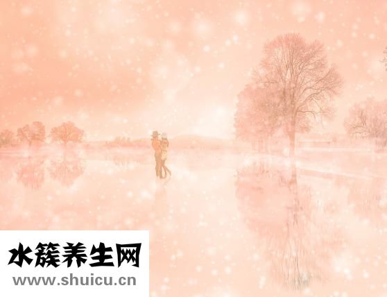 害怕戀愛怎么辦