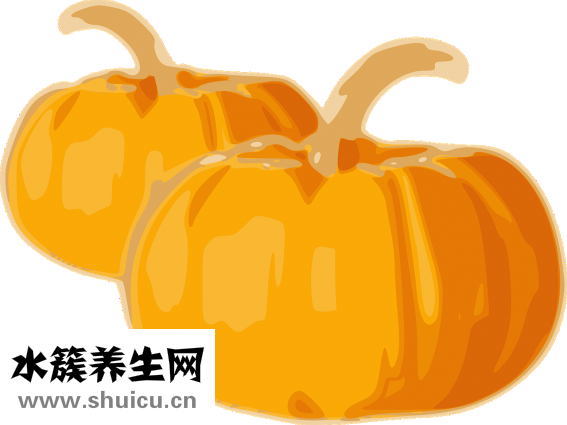 南瓜泥怎么保存