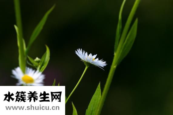 臥室的吊燈不怎么亮