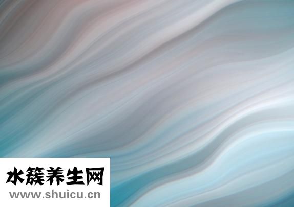 一支花怎么放好看