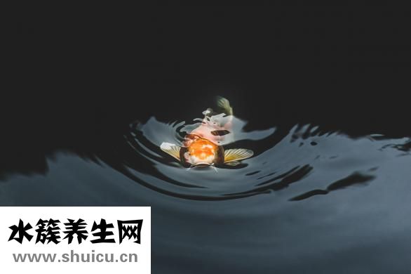 習慣是怎么養成的