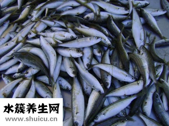 吃海鮮發癢怎么辦