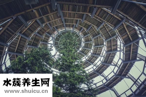 八字五行缺火怎么辦