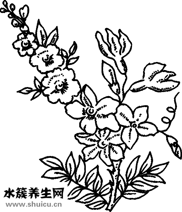 劉燁舒淇怎么了