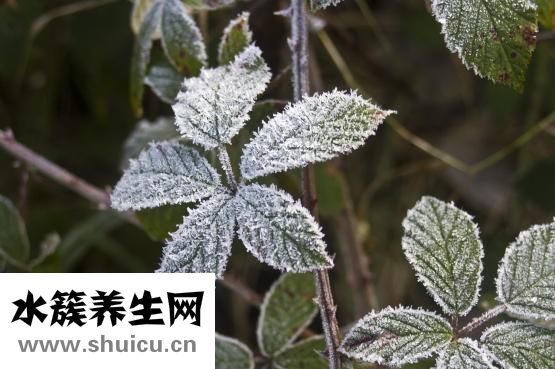 凍臉怎么預(yù)防