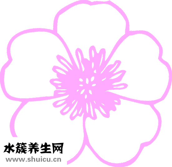 一支花怎么放好看