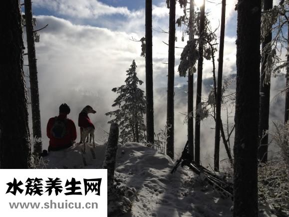 健俏襄腫會疼怎么辦