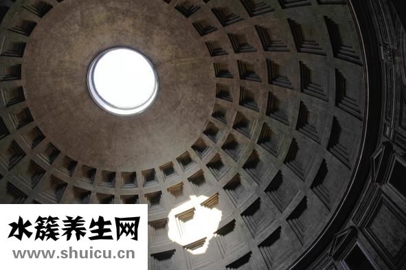 叉花瓶怎么維護