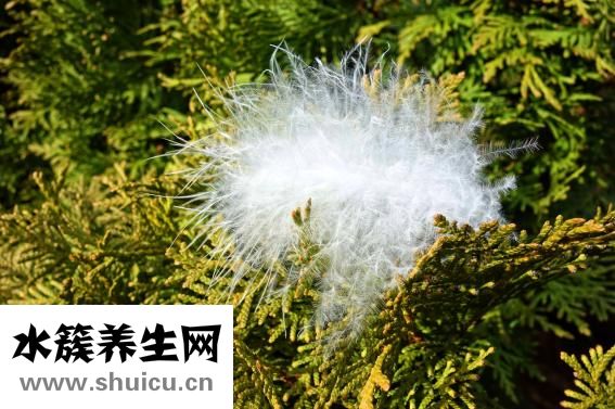 保留指數(shù)怎么查