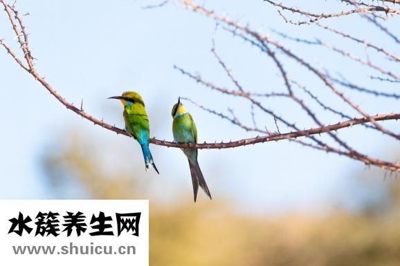 關公吊墜怎么搭配