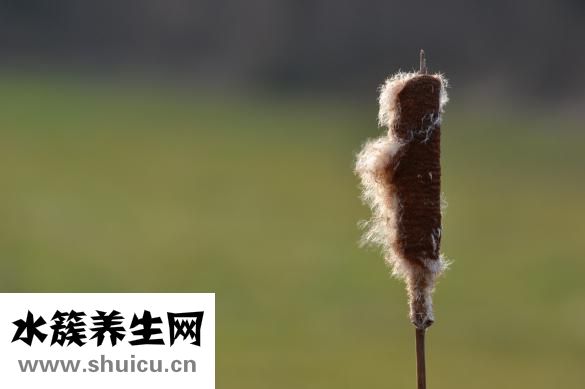 保留指數(shù)怎么查