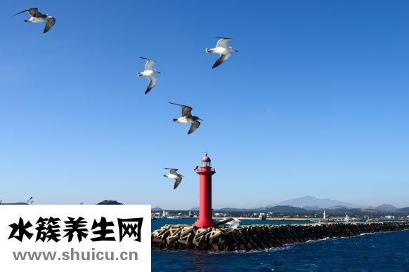 冬天盜汗怎么辦