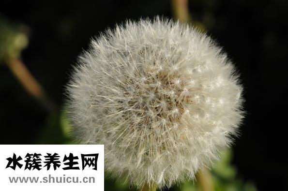 乳暈干燥怎么辦