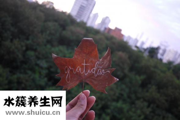 主題上怎么寫字