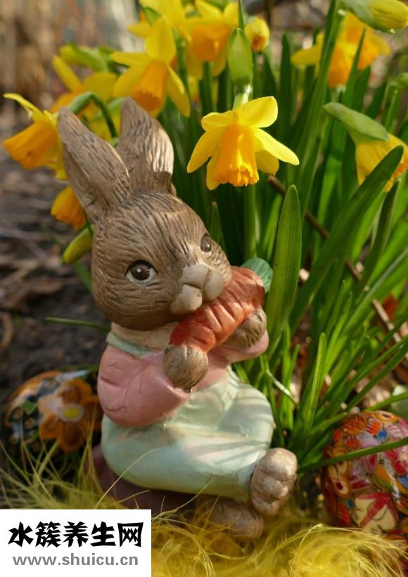 咸兔子肉怎么燒