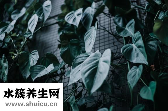 不想理一個人怎么辦