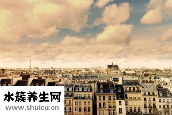 博美身上長(zhǎng)疤怎么辦