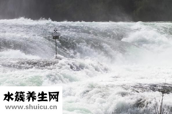 喝酒打圈怎么打