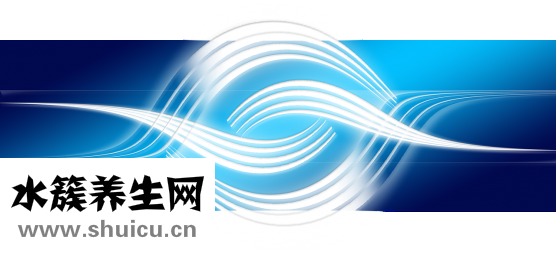 叉花瓶怎么維護