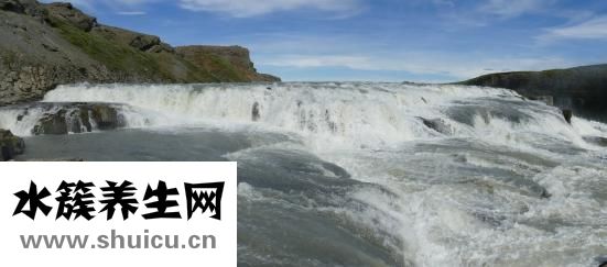 吃桔子多了怎么辦