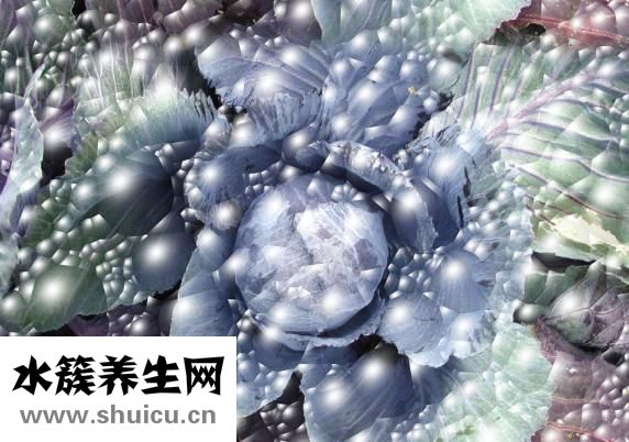 各和菜卷怎么做