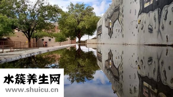 人參怎么看多少年