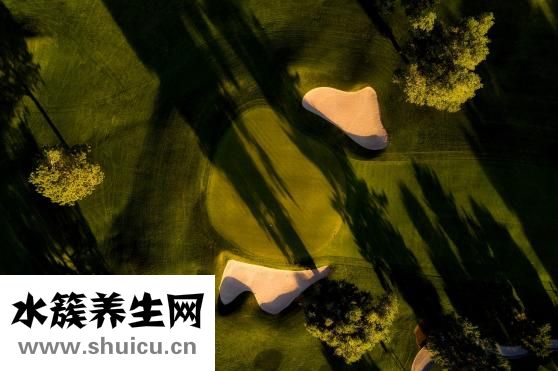 剩女怎么把自己嫁掉