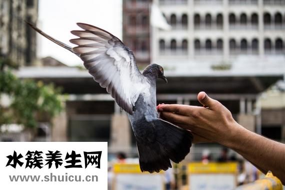 吃桔子多了怎么辦