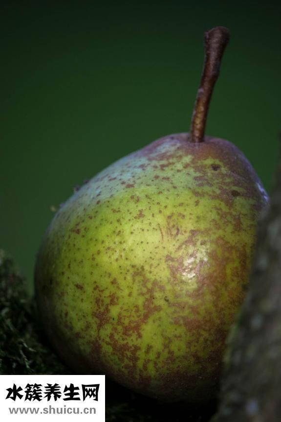 廁所有蜈蚣怎么辦