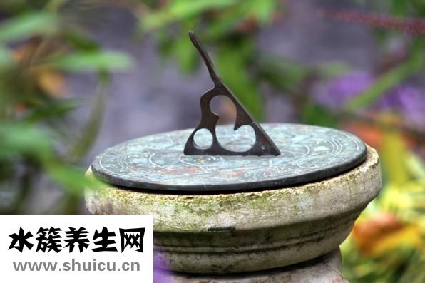 做螃蟹要怎么洗